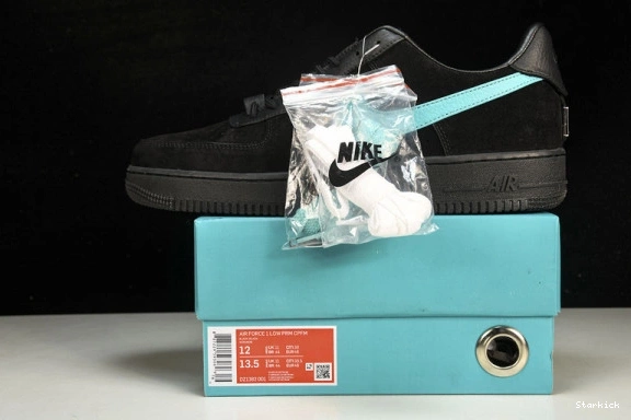 Tiffany Low 1  Force 1837 & Nike Air DZ1382-001 Co. 0208